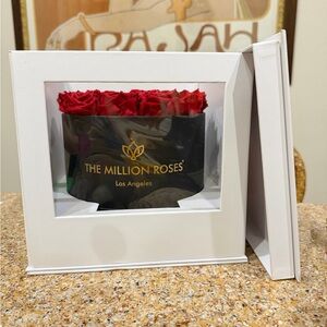 The Million Roses Classic Black Box Red Roses 7” 14 roses